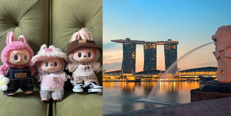 Labubu Keychains Singapore