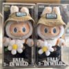 2pcs